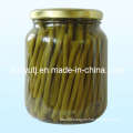 Canned Green Beans with High Quality